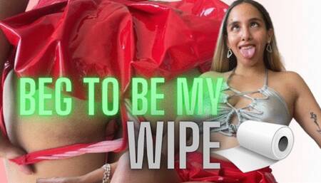 BEG TO BE MY WIPE - Toilet Fetish