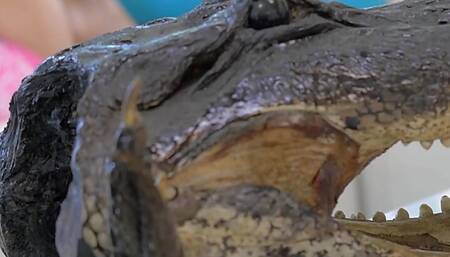 Best Friends Starring Blake Eden Solo