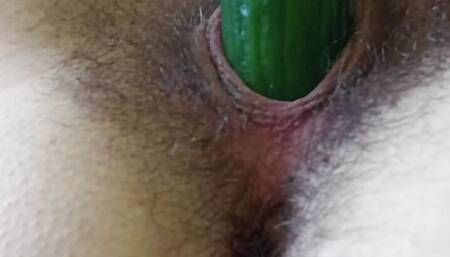 Best real hairy pussy fucking with cucumber.