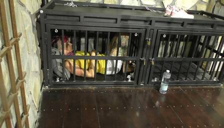 The Maya 72h Challenge - Maya Homerton - The ultimate Bondage Session - Clip 8 - In the Cage - Full Clip mp4 SD