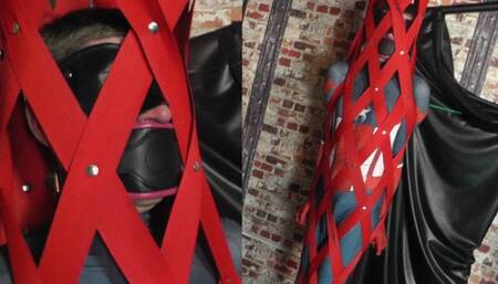 Spiderman; The Human Fly Trap