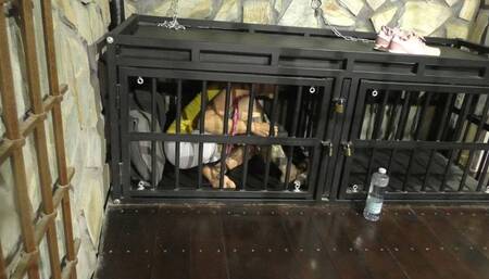 The Maya 72h Challenge - Maya Homerton - The ultimate Bondage Session - Clip 8 - In the Cage - Full Clip mp4 HD