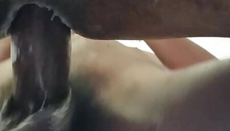 Slow Motion Big Straight Alpha Bull Balls Swinging Deep Breeding Submission Training