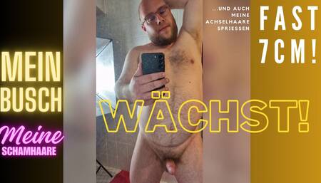 Pubic hair: My bush is growing! Now it's almost seven centimeters