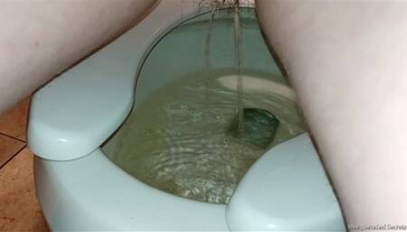 What Happens in the Ladies Room Part 7 HD