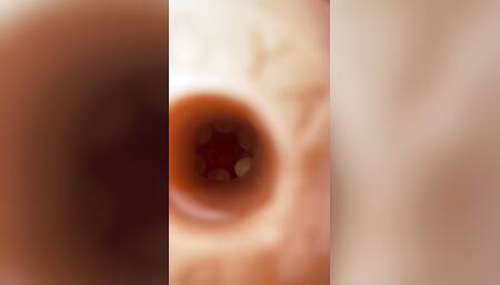 Fleshlight Milking Inside View