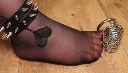 Loser, your place is in a cage! (no talk)