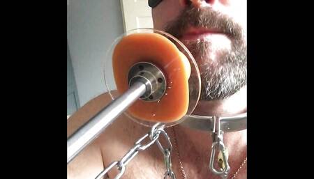 Locked to fucking machine for cock sucking plus hollow glass anal plug