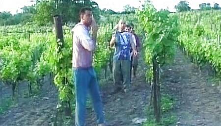 Short haired babe from Germany gets gangbanged in the backyard