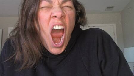MidDay Yawns