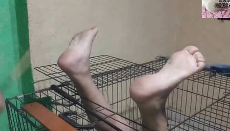 Bastinated in the Cage to Submissive Moranguinho