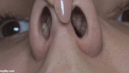 I want to present my nose