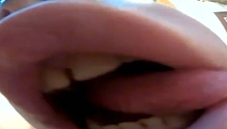 Vore Fish Eye camera 4K