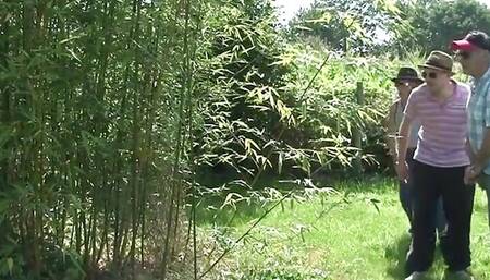 Nudist Brunette Has Group Sex Outdoors