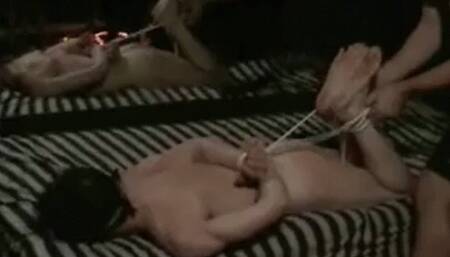 Hogtied Tazzboi MP4
