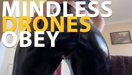 Mindless drone obeys!