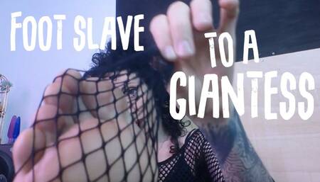 Foot slave to a Giantess