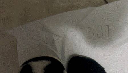 My slave7387