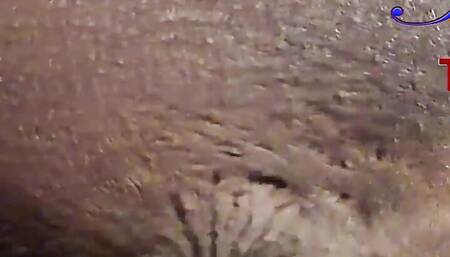 Thot Fucker Creamy Pussy