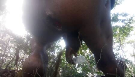 Big ass fuck
