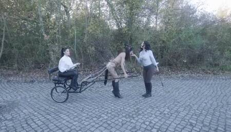 pony girl outside with card - wmv 1080p