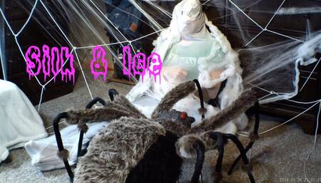 Silk and Ice - socks SD-540res