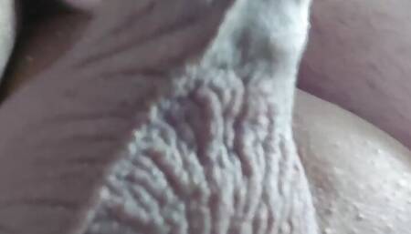 My Cock