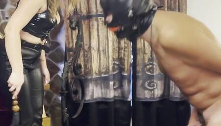 Cock and ballwhipping from the Throne - CRUEL CBT - You must see the whole clip