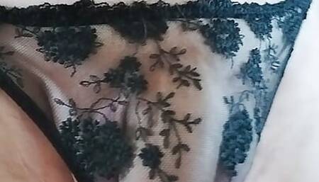 transparent panties and penis
