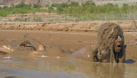 Paris and Her Erotic Wallow - Ultimate Edit