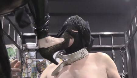 sweaty socks worship my boots and sweaty armpit licking