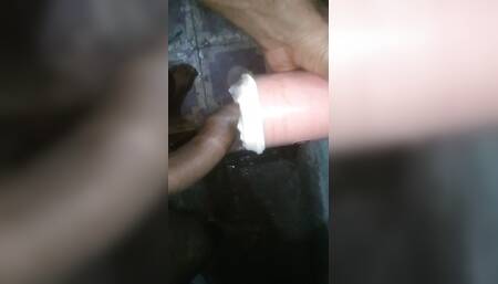 Mausikipanty