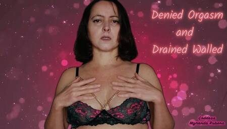 Denied Orgasm and Drained Wallet - 720p mp4