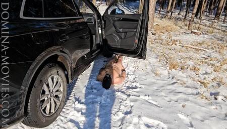 Snow Queen IV and the cold flesh - 01