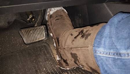 Absent-mindedly playing in Bearpaws