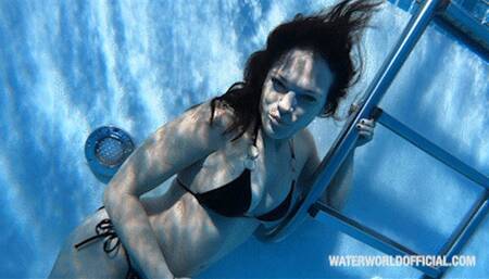 No Diving 2024 HD