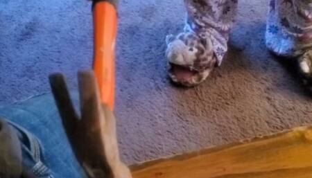 Ballbusting rupture attempt