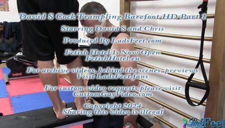 David S Cock Trampling Barefoot HD Part 1