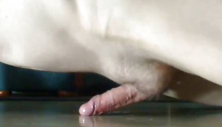 Cum without hands