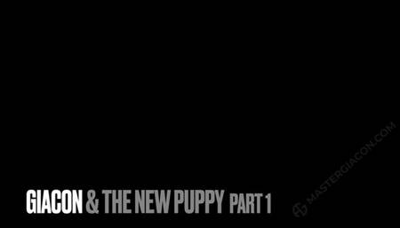 The new puppy has arrived and I want to test him