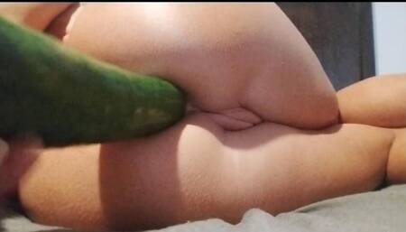 Big cucumber