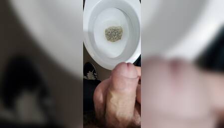 bearded guy peeing with his hairy cock