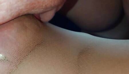 Great Tits and the Nylon Cock