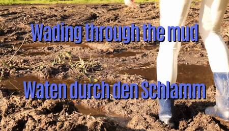 Wading through the mud - Waten durch den Schlamm
