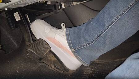 Morning start in Pumas