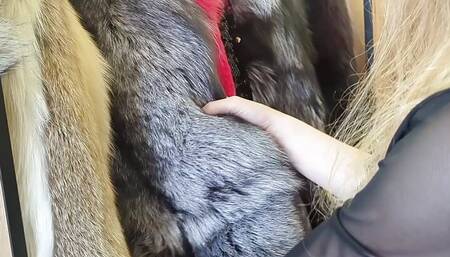 One video - 10 different outlooks! Choose your favourite fur coat! Dream fuck in fur coats!