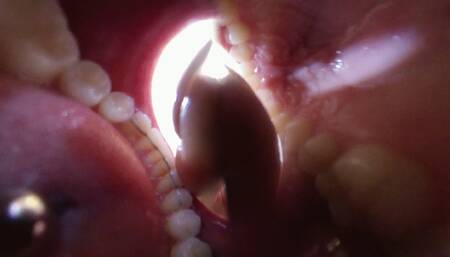 Michelles Vore Volunteer 4K Version VR360