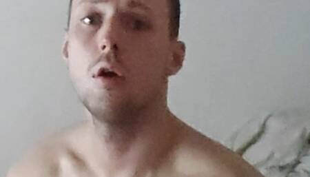 Hamsti