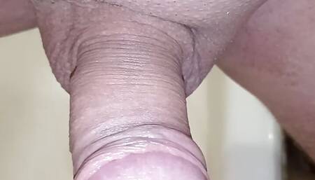 Penis