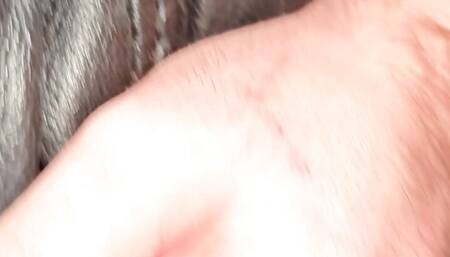 Masturbation on my black leather couch